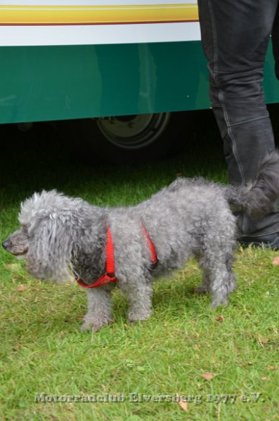 MCE Sommertreffen 2016 - 091.JPG